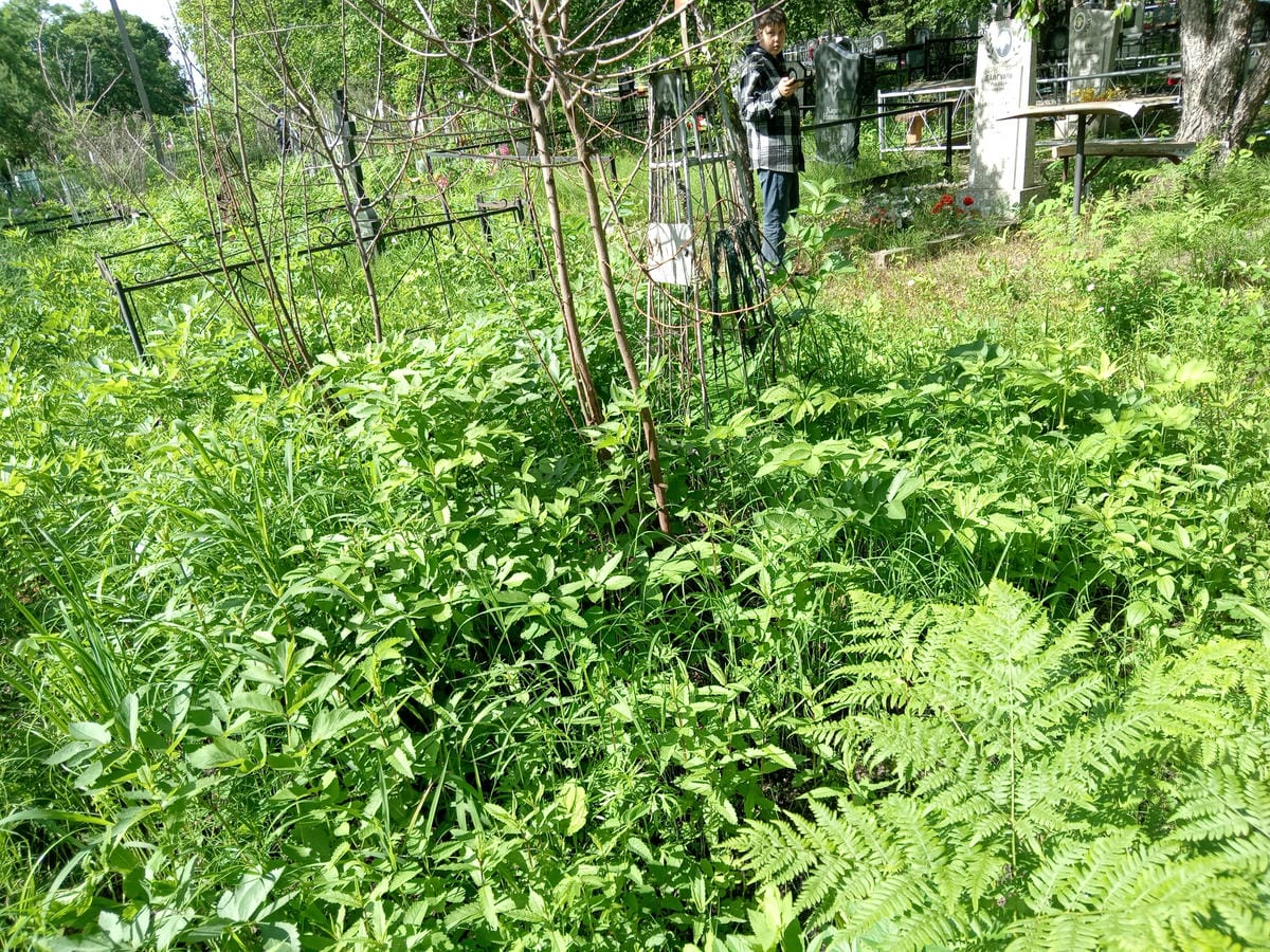 Неизвестно Неизвестно Неизвестно