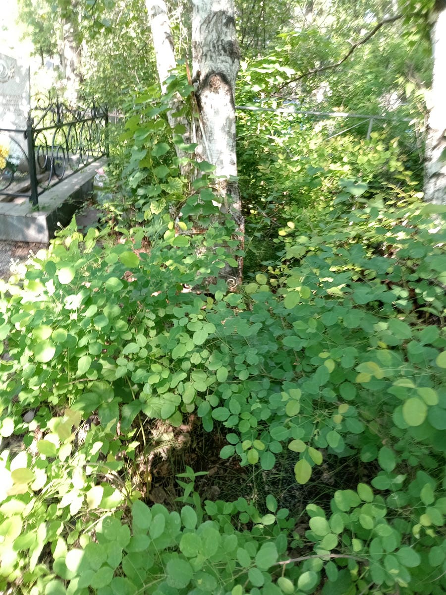 bfa59936-512b-4752-9b3d-2f279292e613 Ермышкин Василий Семёнович