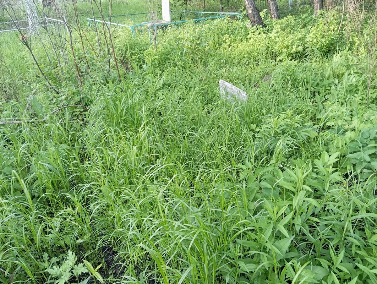 bfe28e59-38ee-48a8-8044-739ff8476f5c Неизвестно Неизвестно Неизвестно