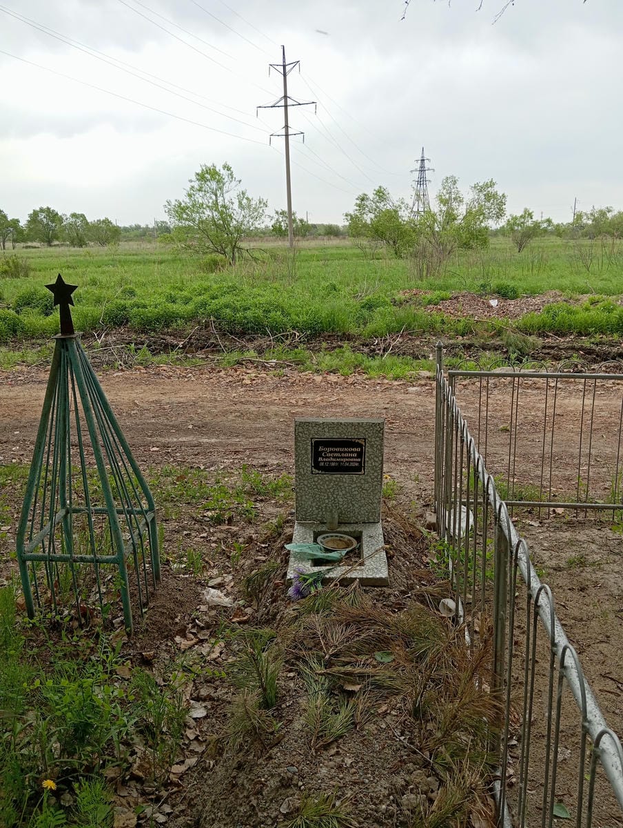 c0045539-d92d-44c1-96ca-07c92fef5feb Боровикова Светлана Владимировна