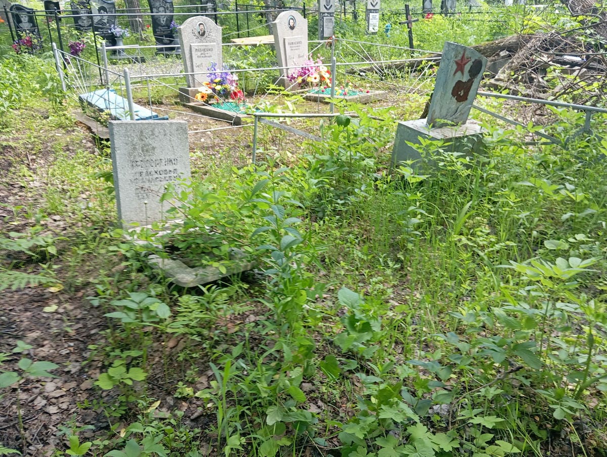 c0379857-b810-44ea-a432-94f0fde12620 Федоренко Прасковья Афанасьевна