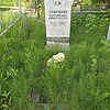 Семачкова Валентина Николаевна