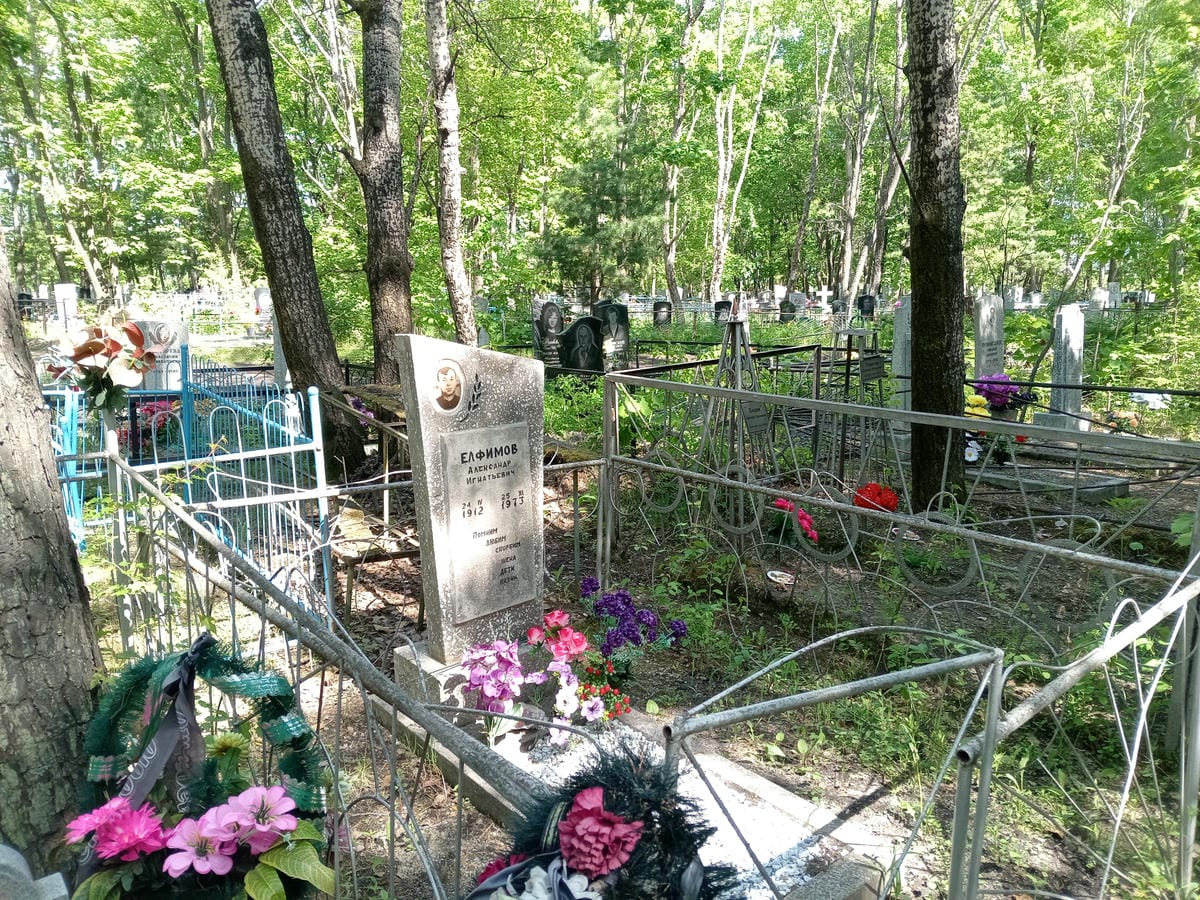 c0af5400-27de-4d44-9b30-568fdc3d3a18 Елфимов Александр Игнатьевич