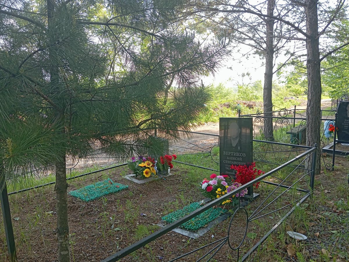 c0cdfaa9-c340-496d-8e9c-505bdff71a28 Вертиков Владимир Алексеевич