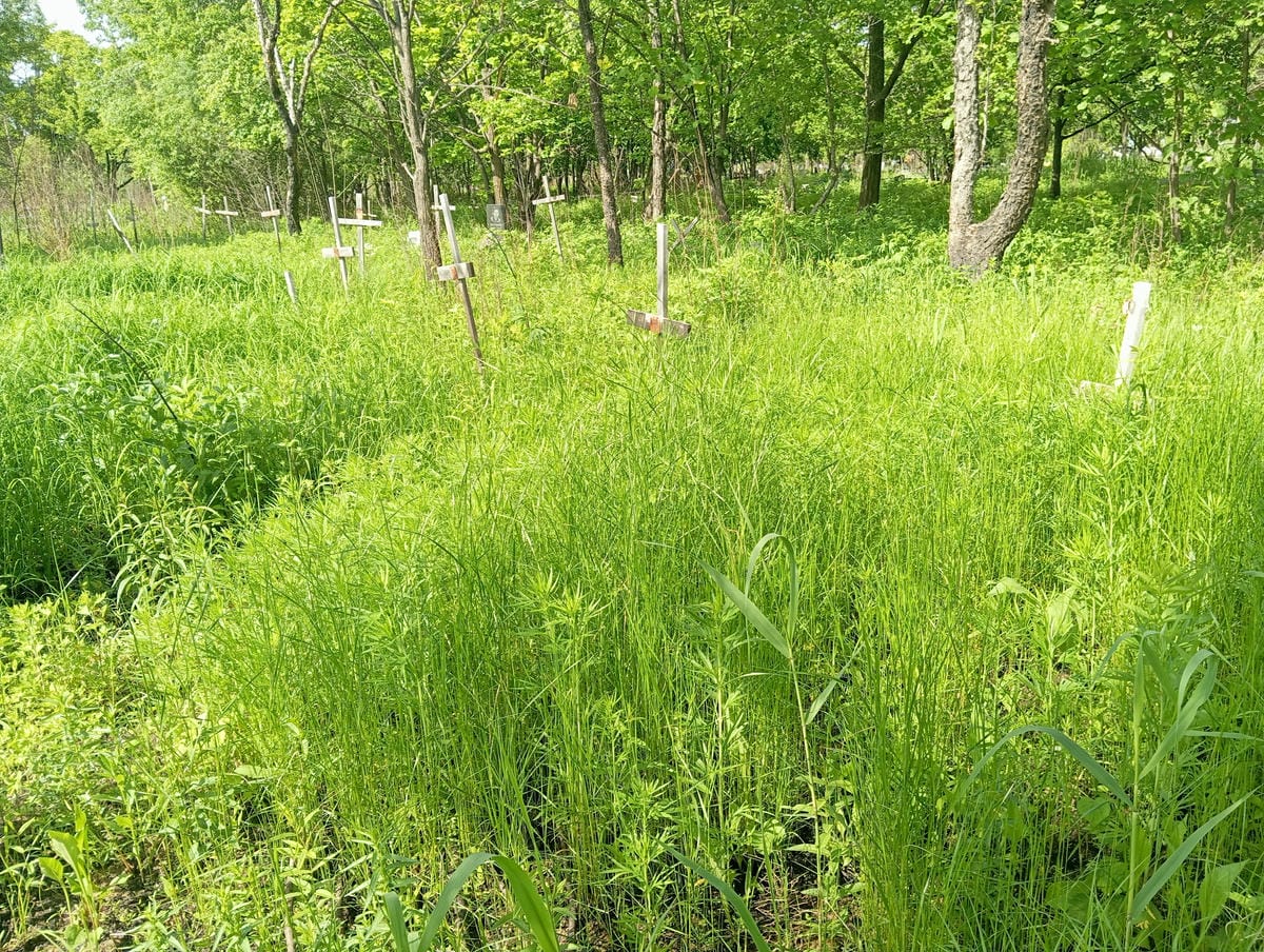 Шумилов Неизвестно Неизвестно