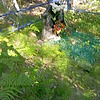 Мельникова Татьяна Корнеевна