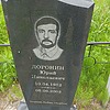 Доронин Юрий Николаевич