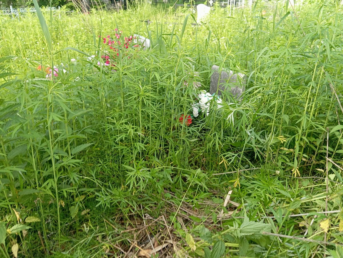 Ибрянов Александр Иванович