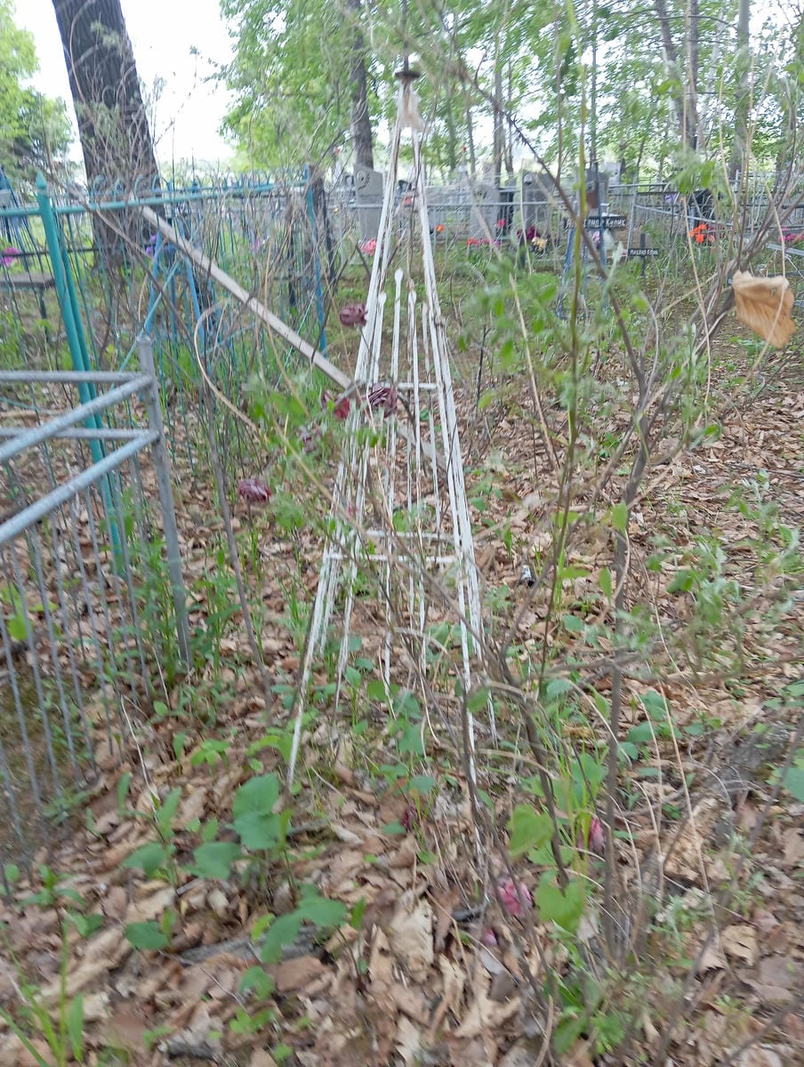 Неизвестно Неизвестно Неизвестно