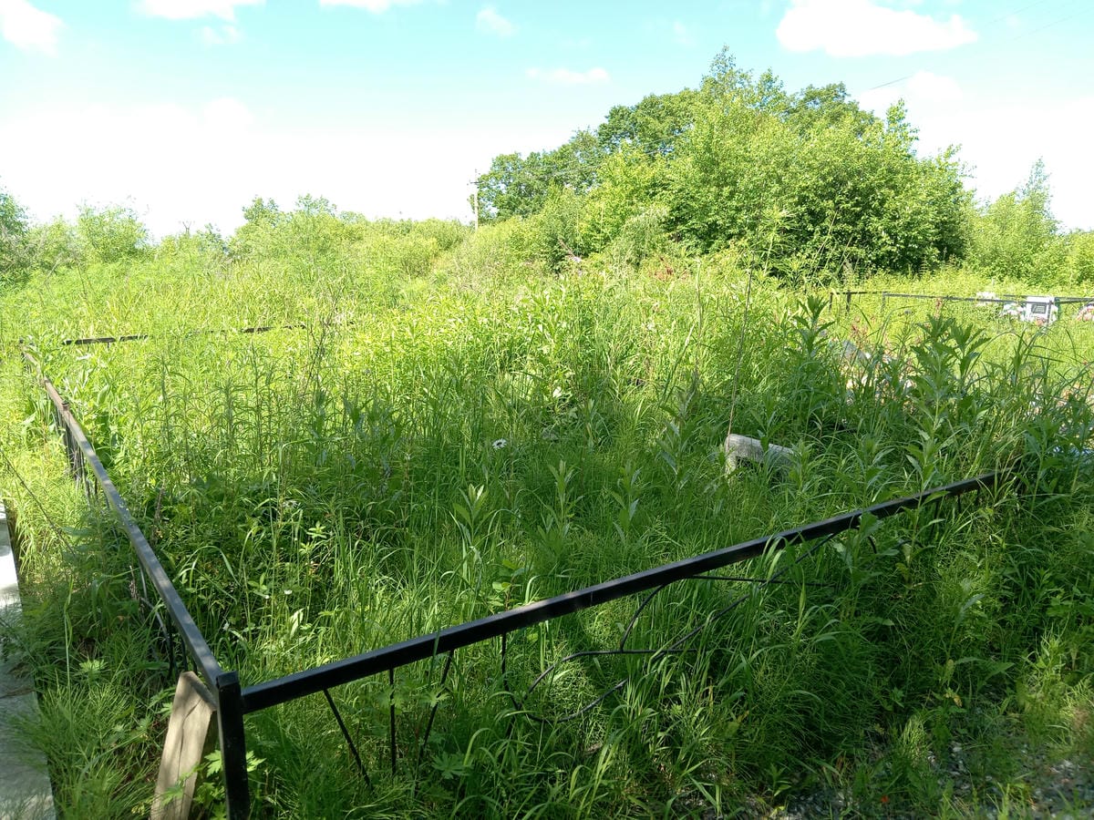 Тимотина Белла Яковлевна