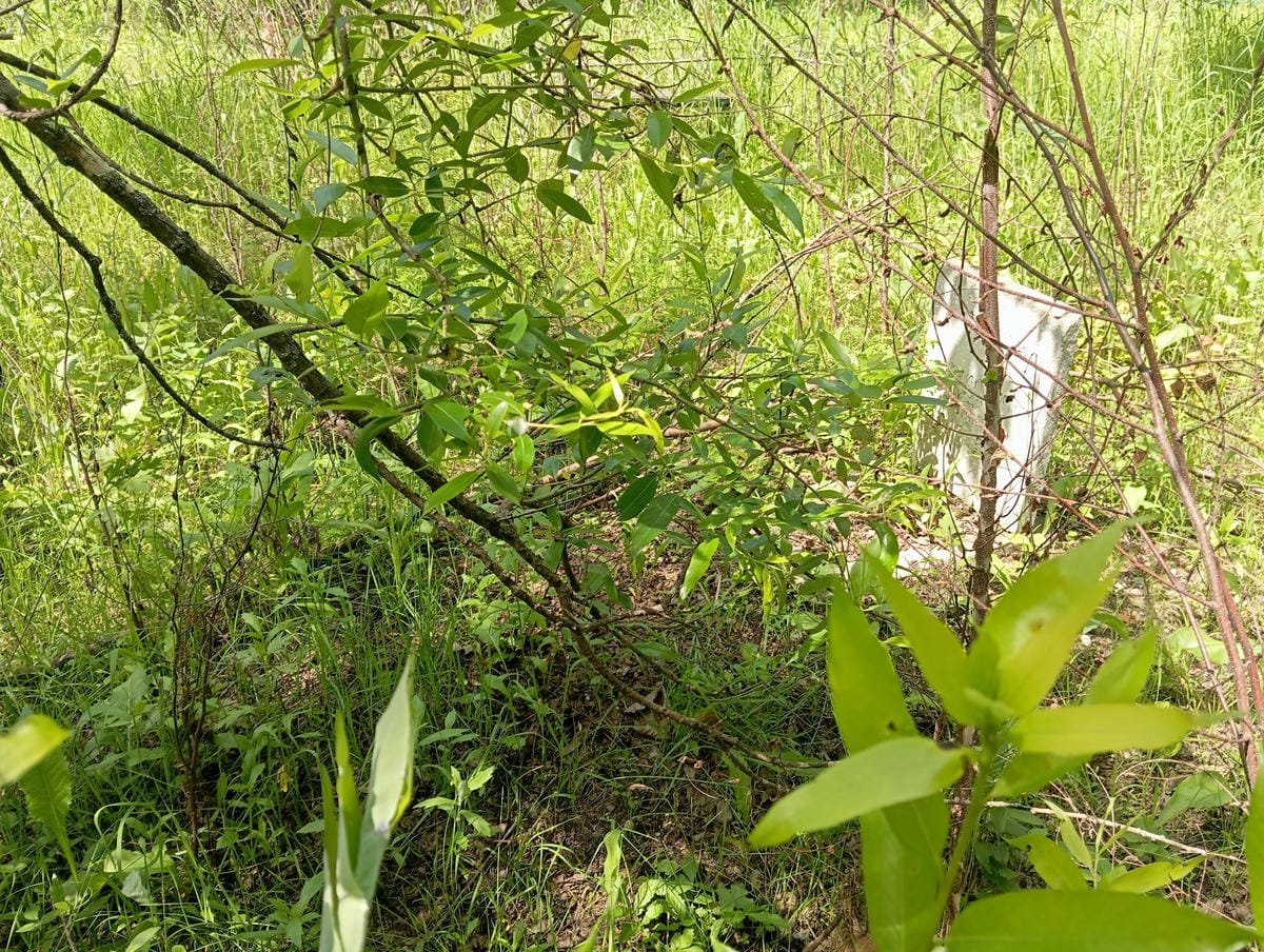 Степанчук Владимир Степанович