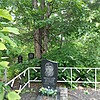 Чикватадзе Анатолий Шалович