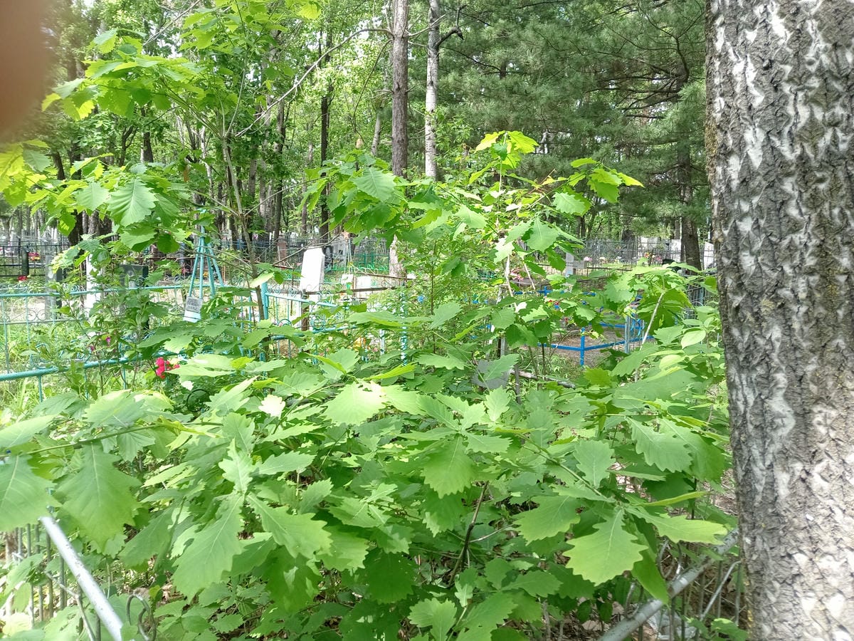 c5a2c662-0184-4a32-8fc3-dd4fc4919f88 Федюкова Александра Ивановна