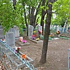 Володин Георгий Дмитриевич