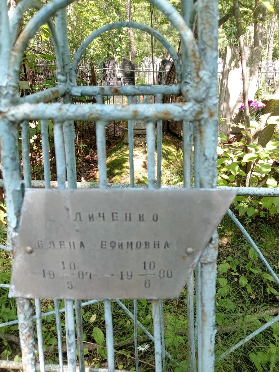 c6057bc4-4e00-472c-957a-f8ec75961465 Личенко Елена Ефимовна
