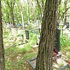 Милиневская Светлана Витальевна
