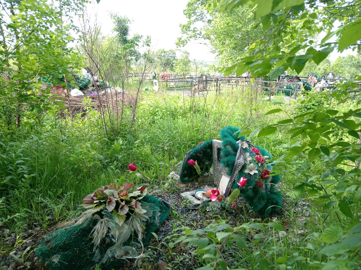 Шеянов Александр Сергеевич