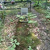 Медведев Владимир Николаевич