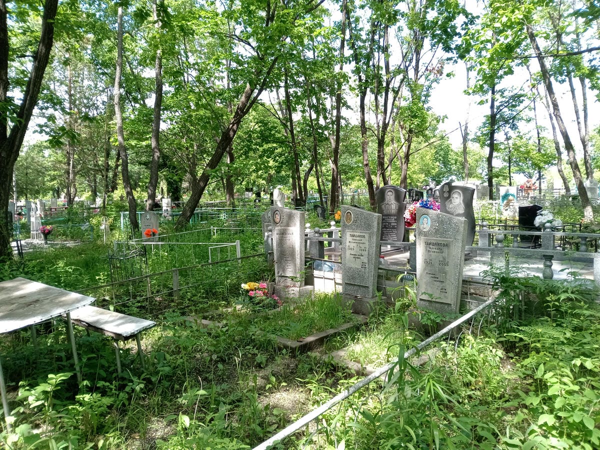 Макиевская Ольга Николаевна