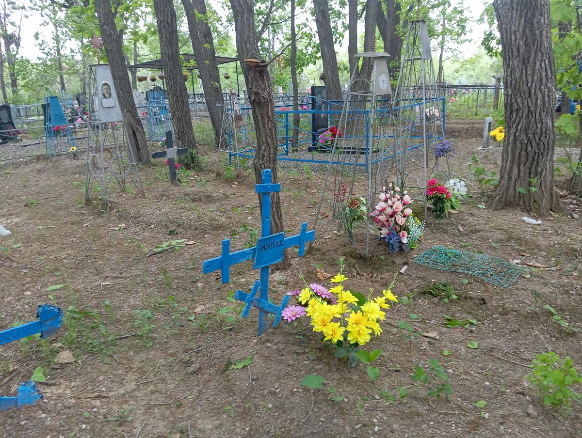 Лазарев Д Неизвестно