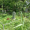 Власюк Юрий Алексеевич