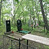 Коренева Софья Петровна