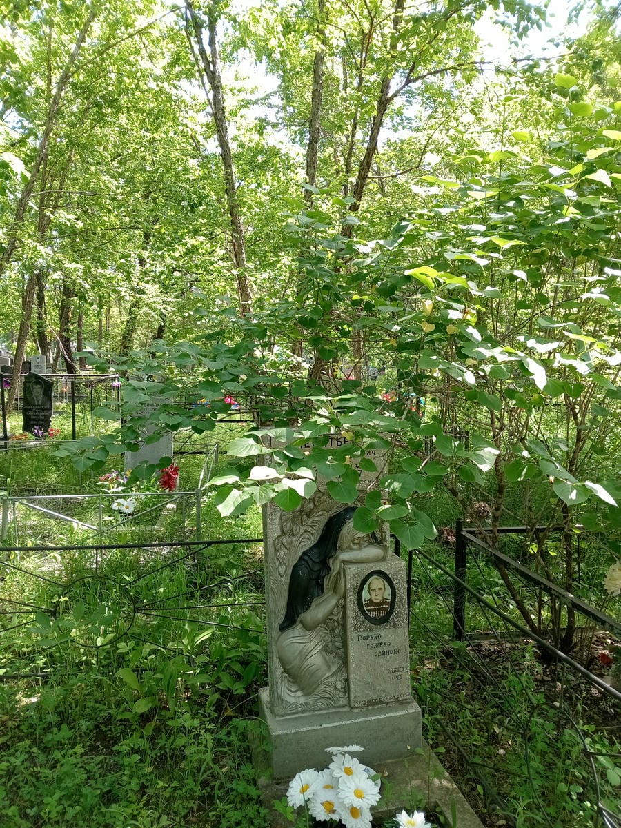 Леонтьев Сергей Владимирович