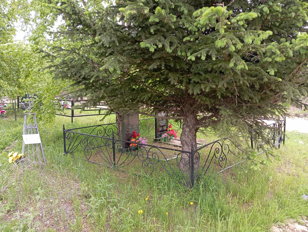 Панарина Екатерина Сергеевна