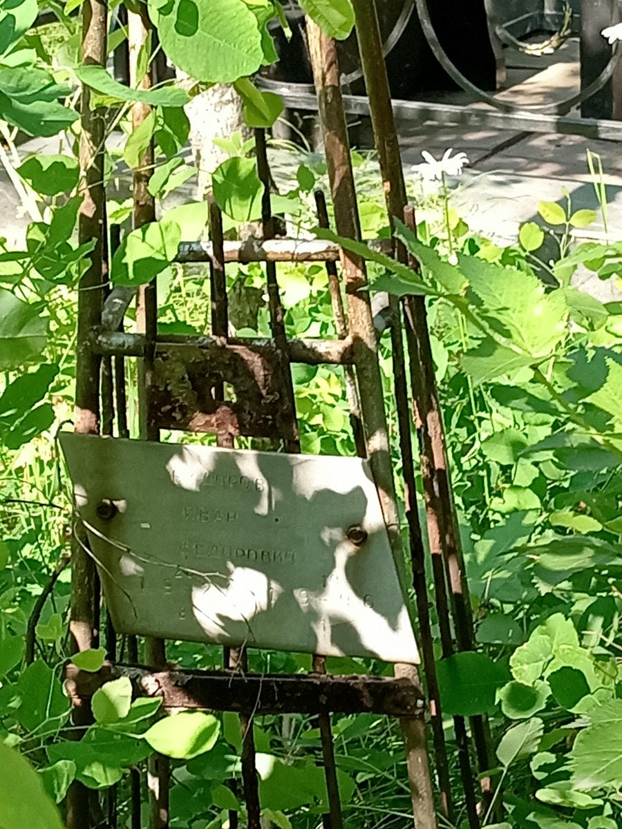 c946ec12-12cc-4383-a4b7-49750f245b82 Доров Иван Седорович