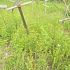 c99b9283-e910-4ae0-a9db-bd011bce97e9 Неизвестно Неизвестно Неизвестно