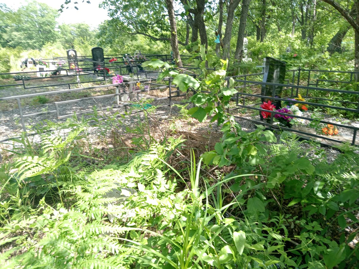 ca77b743-b634-47a8-8fdd-47b2b54d8b3a Какодей Александр Дмитриевич