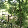 Кашуба Александра Григорьевна