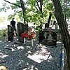 Наконечников Владимир Викторович