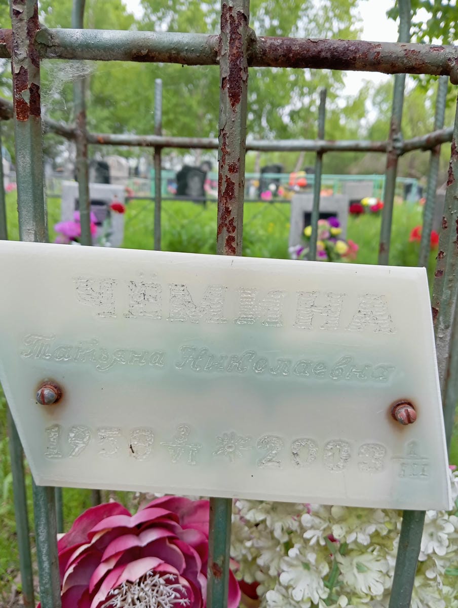 Чемина Татьяна Николаевна