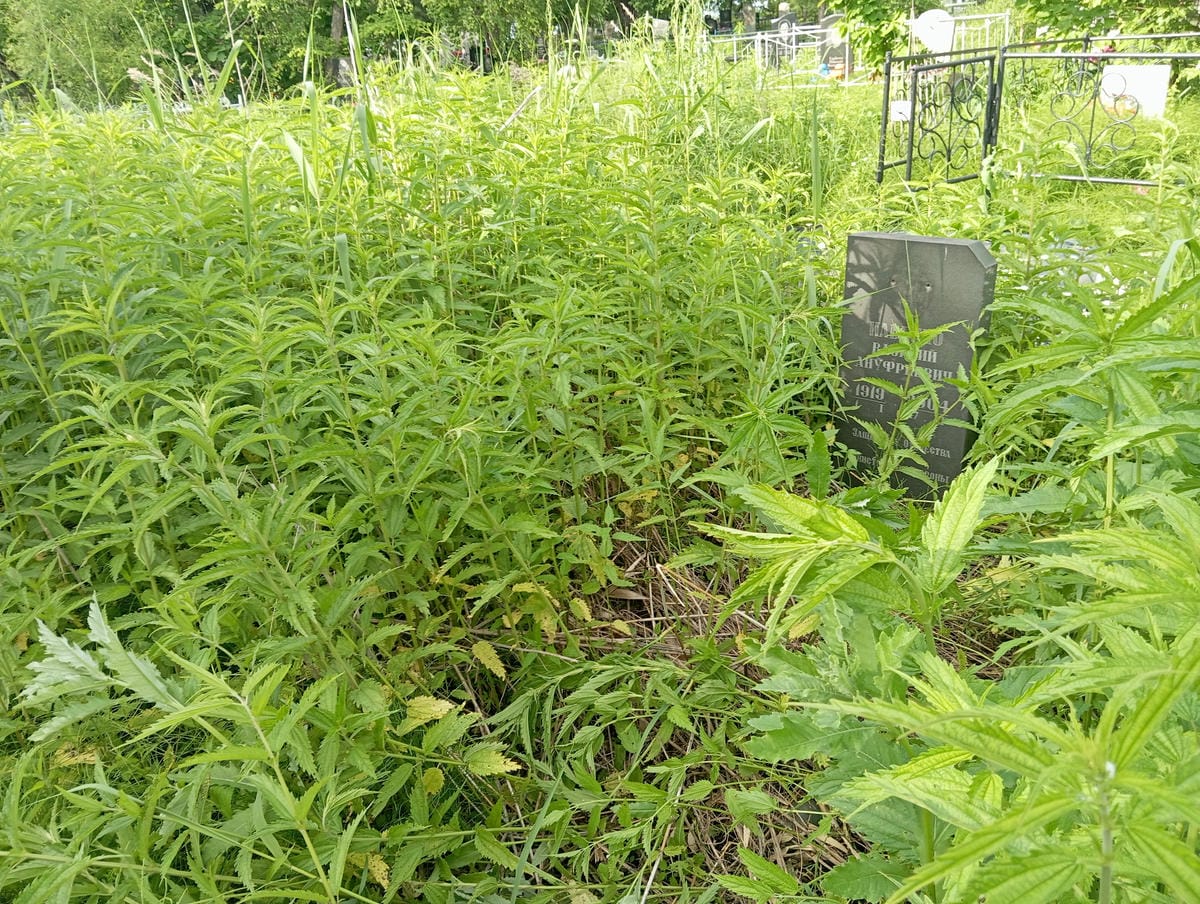 Ильенко Василий Ануфриевич