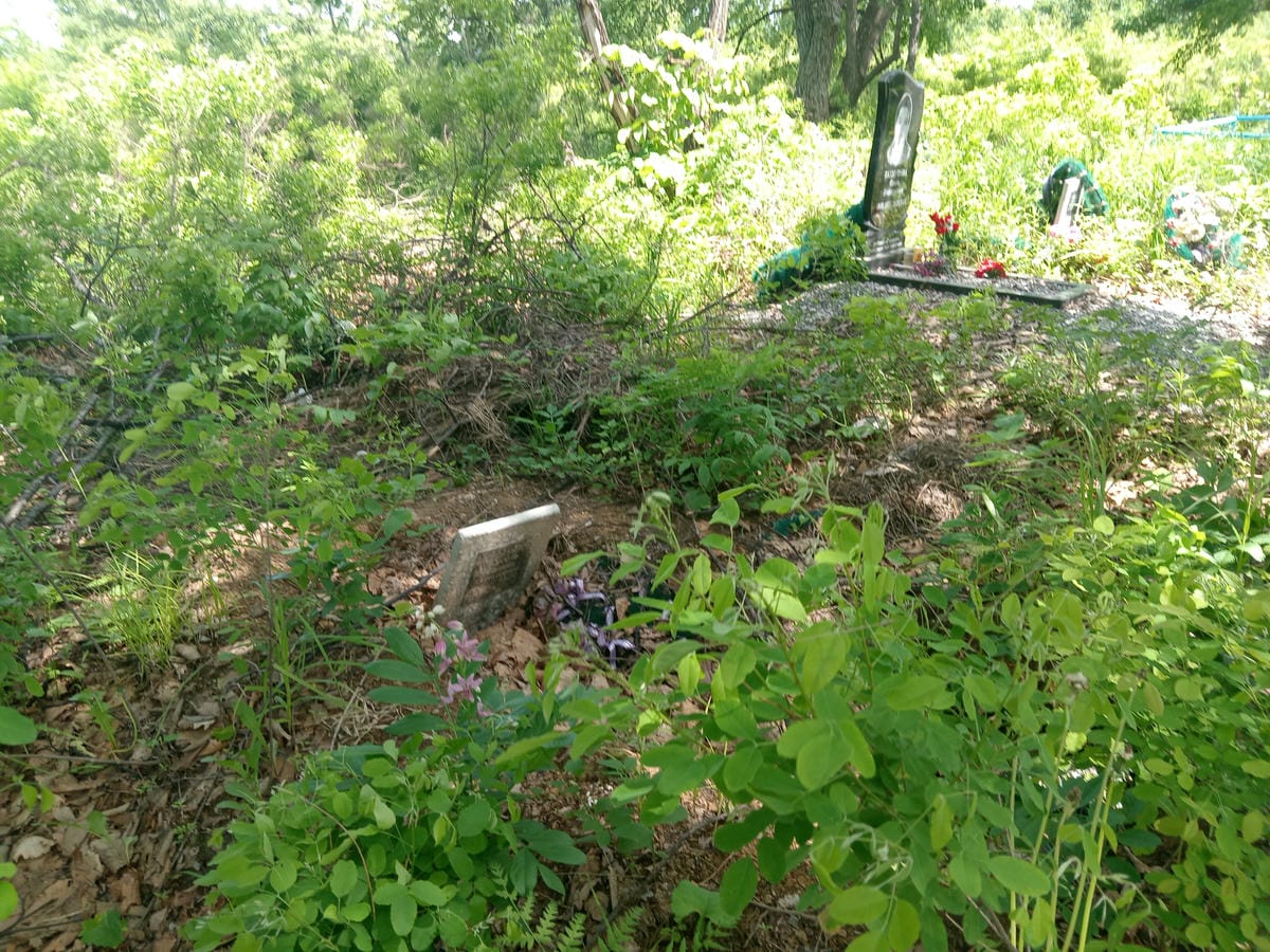 cd1607dd-ffc3-43d9-8c85-cb6f4895c20e Кисель Галина Алексеевна