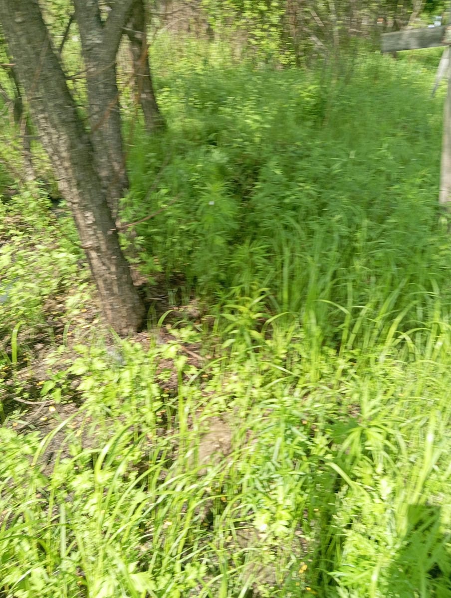 Неизвестно Неизвестно Неизвестно