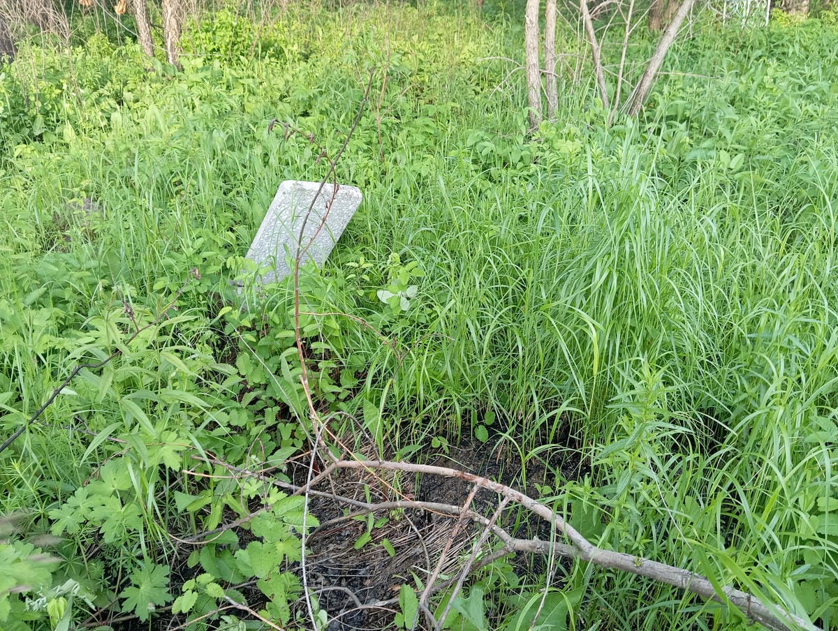 cda0fcf7-eb69-477d-b5ac-02d7f5d777c6 Неизвестно Неизвестно Неизвестно