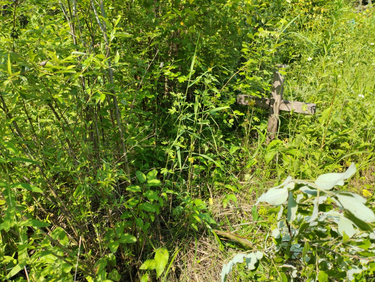 Неизвестно Неизвестно Неизвестно