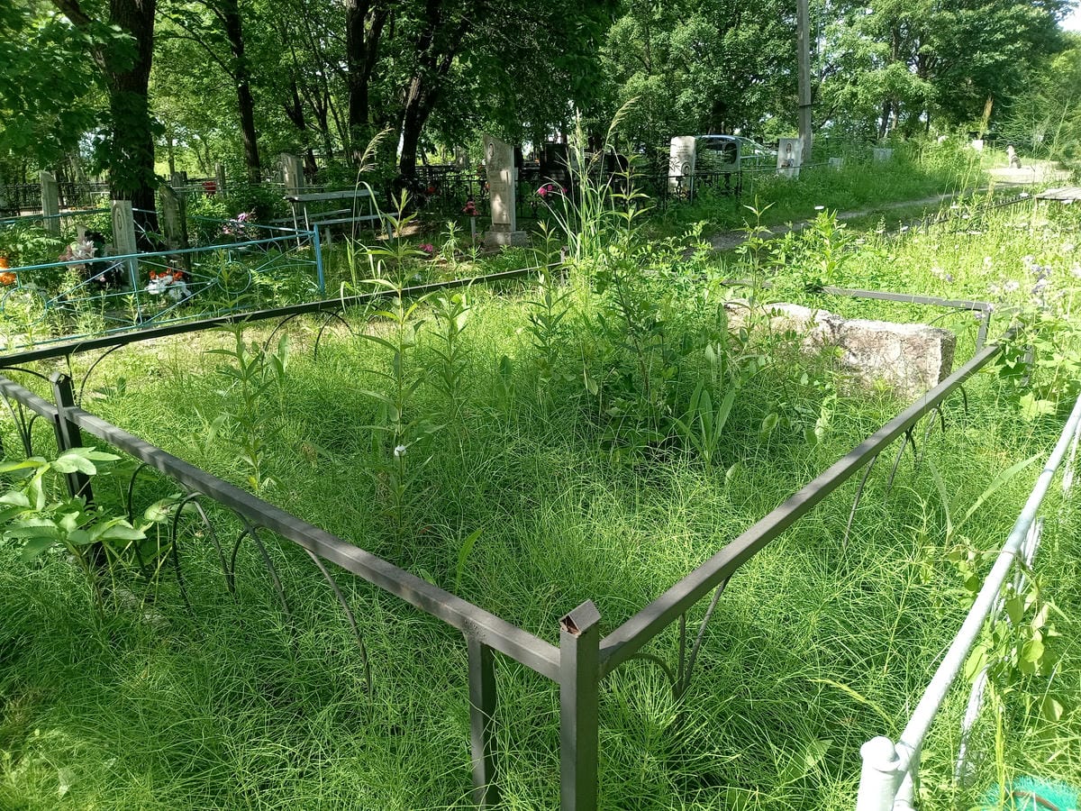 Самородский Викентий Владимирович