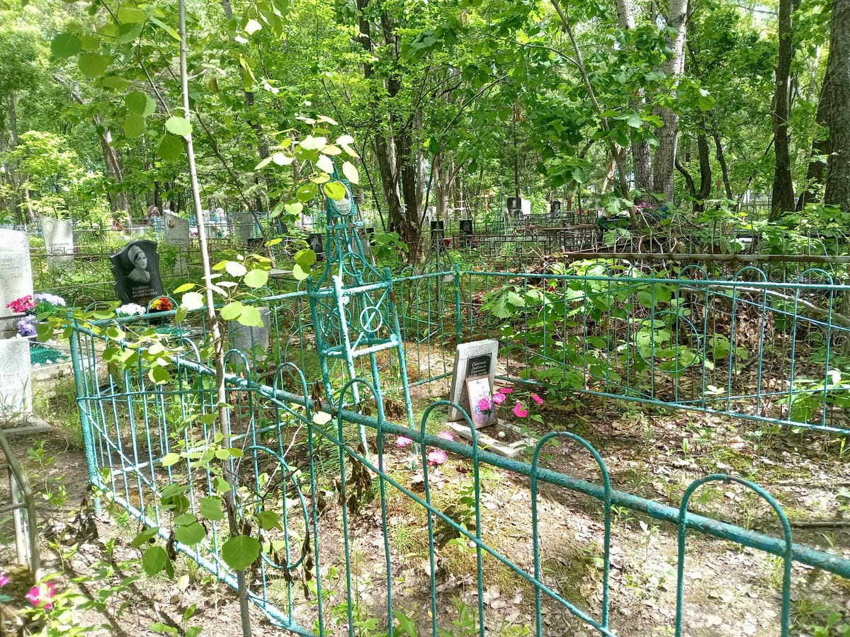 Сосенко Людмила Павловна