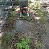 Белаш Александр Витальевич