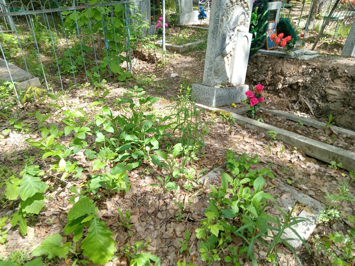 Неизвестно Неизвестно Неизвестно