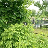 Михалко Александр Петрович