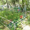 Лопатина Елена Денисовна