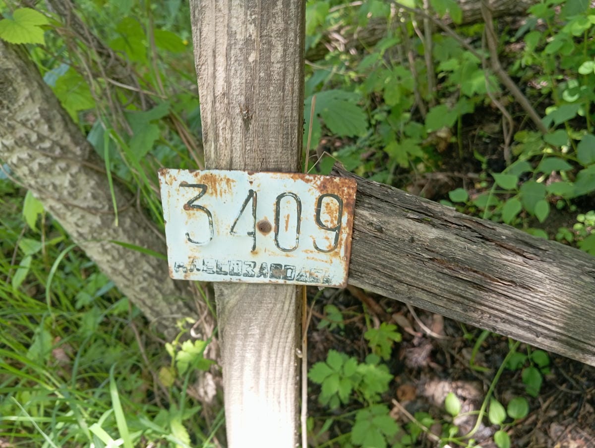 d15debde-1d42-44e5-bf66-f60785092ef2 Неизвестно Неизвестно Неизвестно