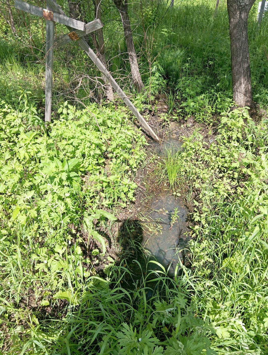 Неизвестно Неизвестно Неизвестно