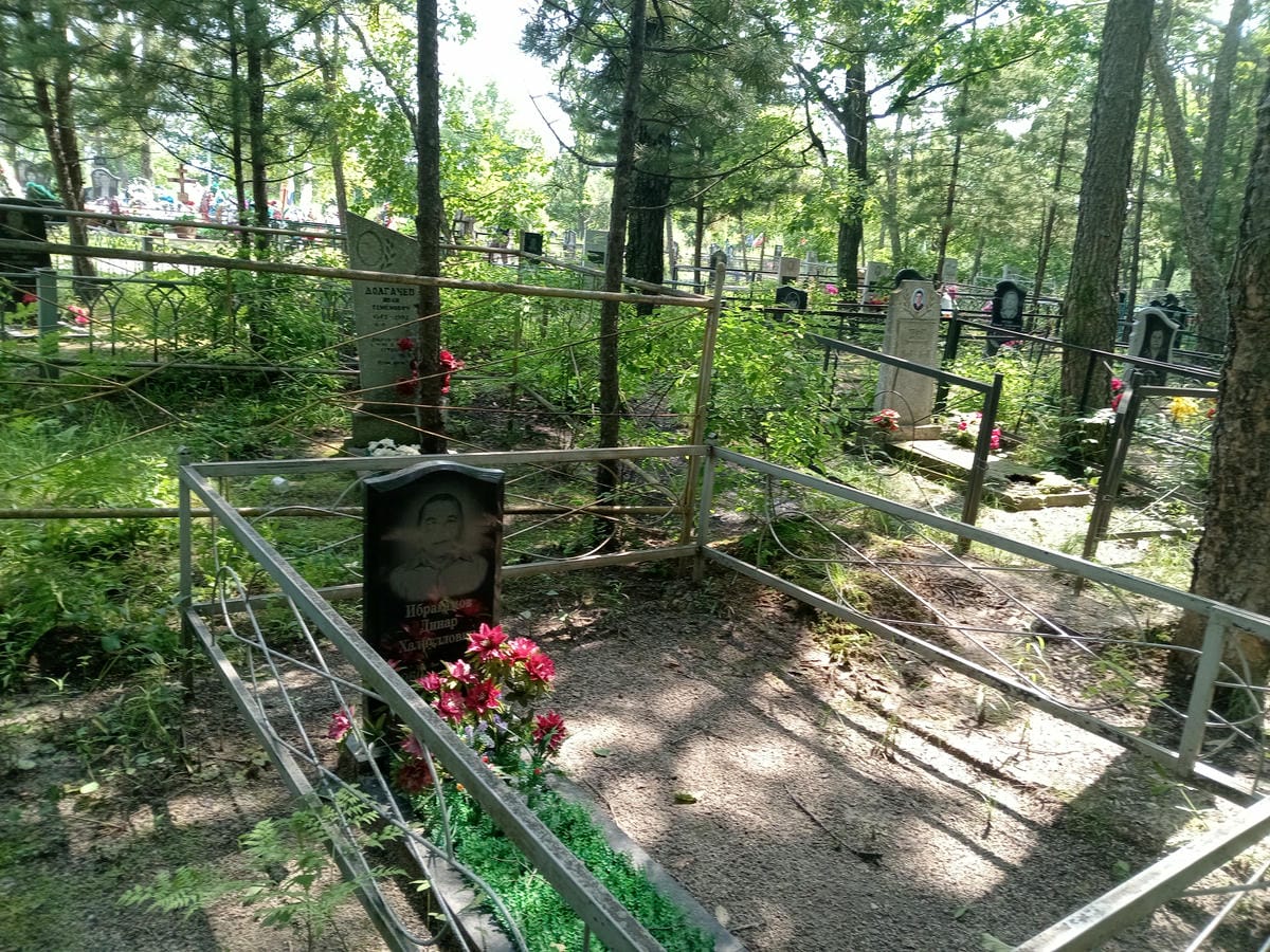 d1b6e1d6-7aaa-4944-879e-83ad69894d10 Ибрагимов Динар Халиуллович