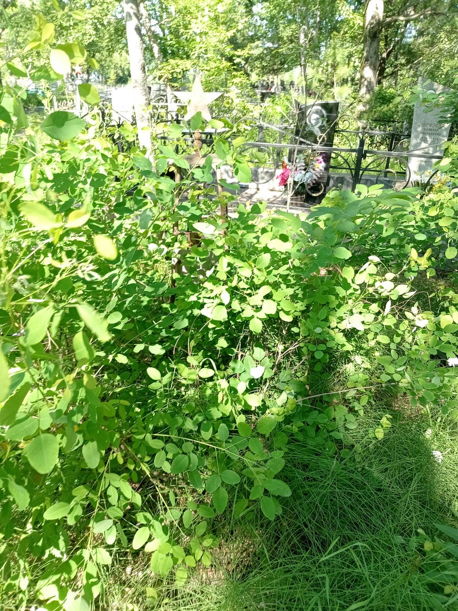 Доров Иван Седорович