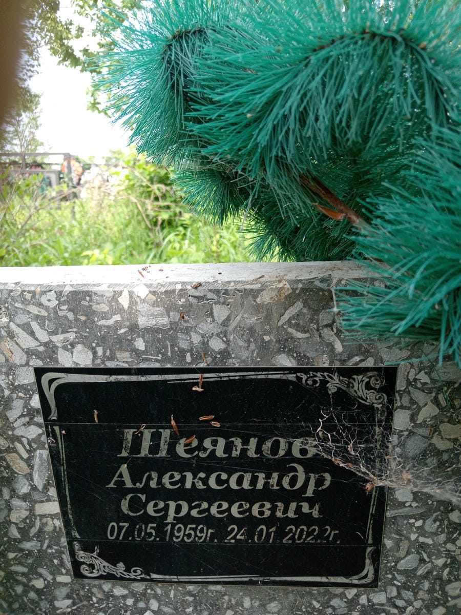 Шеянов Александр Сергеевич